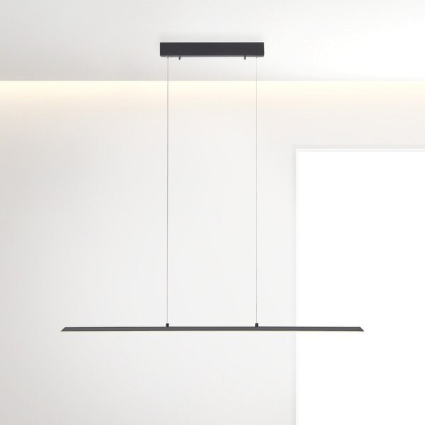 PURE LED viseča luč Lite, antracit, 100 cm, CCT, možnost zatemnitve, zatemnjen, Črna, Dnevna soba / jedilnica, Aluminij, Sodobni