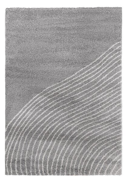 Siva preproga 160x230 cm Coastalina – Bonami Selection