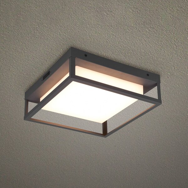 Trio Lighting LED zunanja stropna svetilka Witham IP54, CCT, antracit, Črna, Kovina, Sodobni