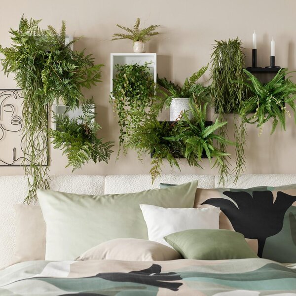 Modern Living Okrasna Rastlina Farn I