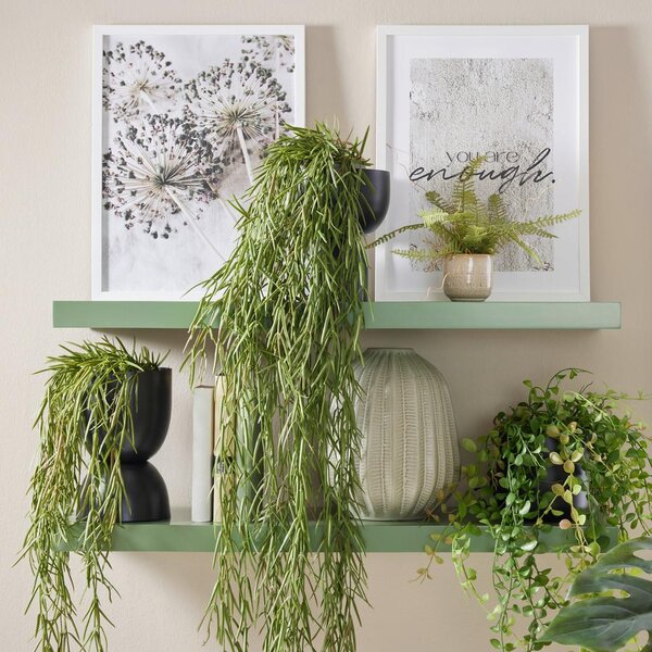 Mömax Umetna Rastlina Tillandsia Ii