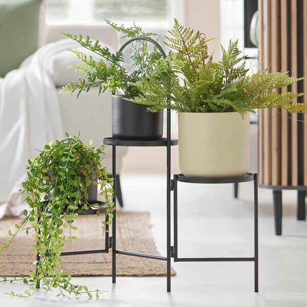 Modern Living Okrasna Rastlina Farn I