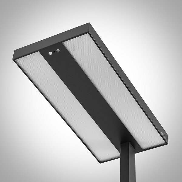 Arcchio LED-stoječa svetilka Logan Pro, črna, senzor, z možnostjo zatemnitve, zatemnjen, Črna, Študija / pisarna, Aluminij, Sodobni
