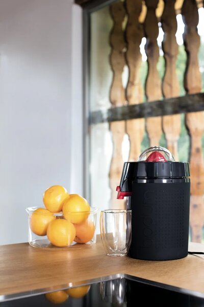 Bodum komplet kozarcev iz borosilikatnega stekla Pavina 0,45 l