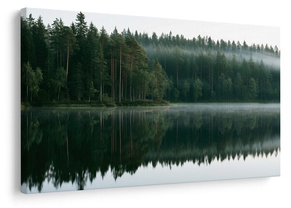 Slika megleno jezero v gozdu