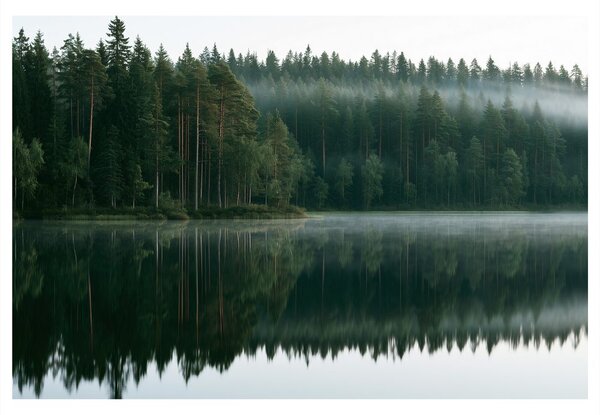 Slika megleno jezero v gozdu