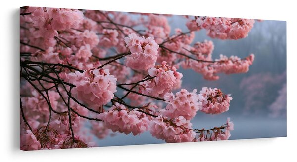 Slika cvetoča sakura nad mirno vodo