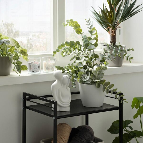 Modern Living Umetna Rastlina Eucalypthus Ii -Ext- -Paz-