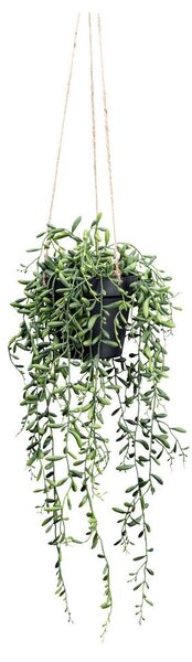 Modern Living Umetna Rastlina Senecio Herreianus I
