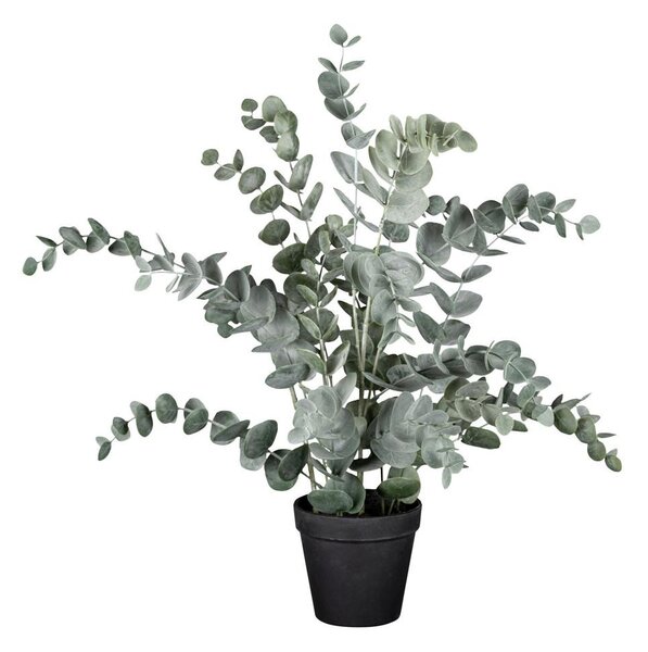 Modern Living Umetna Rastlina Eucalypthus Ii -Ext- -Paz-