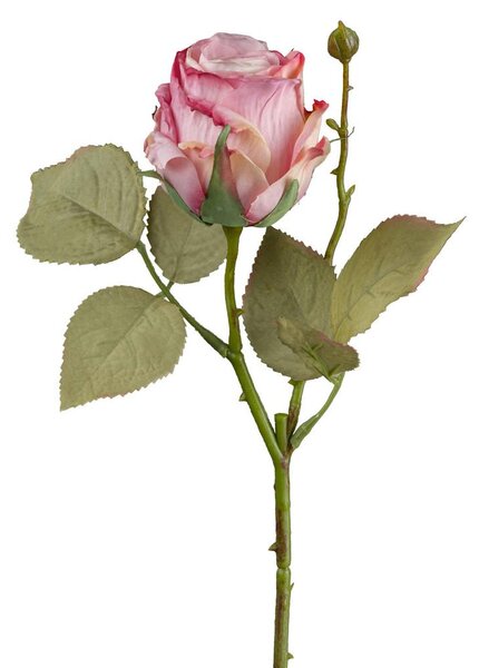 Modern Living Okrasna Vejica Vintagerose I