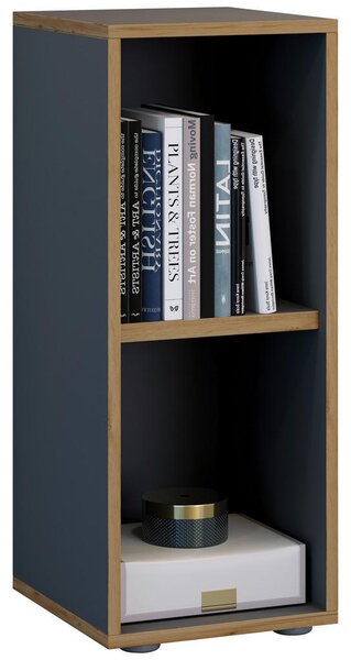PISARNIŠKI REGAL 30/74/33 cm antracit, medeni hrast