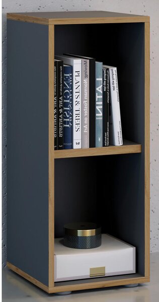 PISARNIŠKI REGAL 30/74/33 cm antracit, medeni hrast