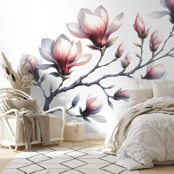 Fototapeta nežne magnolije na belem ozadju
