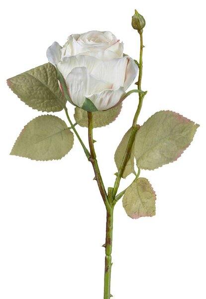 Modern Living Okrasna Vejica Vintagerose I