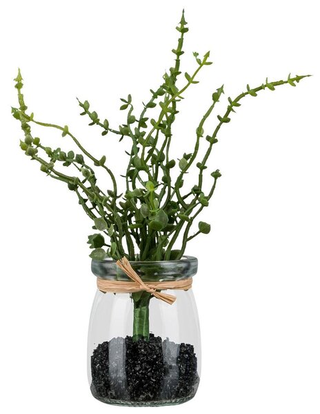 Mömax Umetna Rastlina Oregano Ii