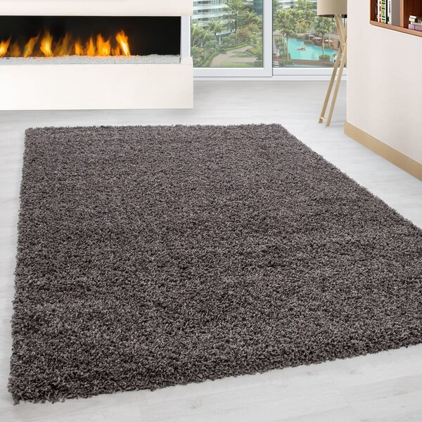 Rjava preproga 80x150 cm Life – Ayyildiz Carpets