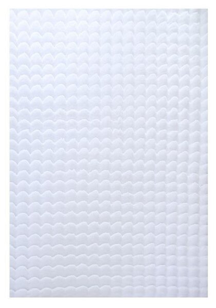 Ayyildiz Preproga Z Visokim Florom Ambiance, Bela, 120x170cm