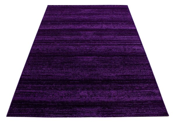 Temno vijolična preproga 80x150 cm Plus – Ayyildiz Carpets