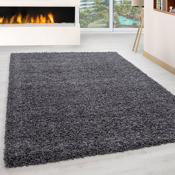 Temno siva preproga 60x110 cm Life – Ayyildiz Carpets