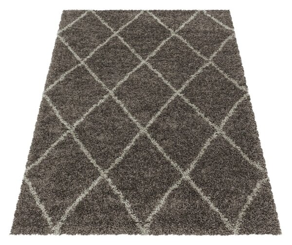 Rjava preproga 120x170 cm Alvor – Ayyildiz Carpets