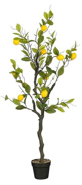 Umetna rastlina Limona (Višina: 120 cm, Poliester)