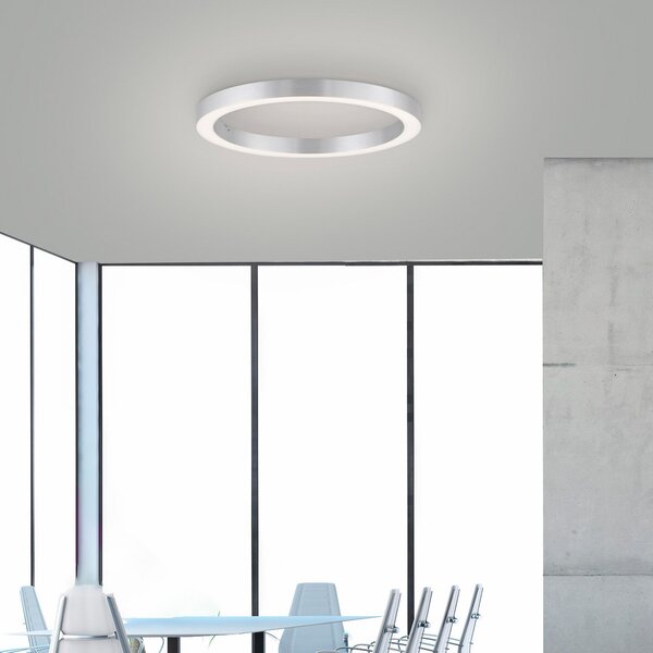 PURE LED stropna svetilka Lines, Ø 50 cm, srebrna, CCT, zatemnjen, Siva, Dnevna soba / jedilnica, Kovina, Sodobni