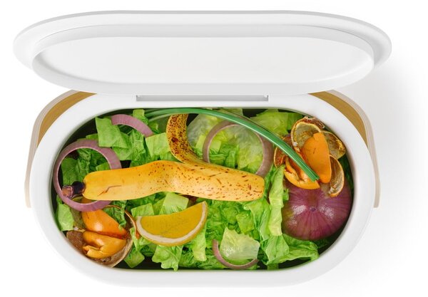 Bel koš za biološke odpadke 4 l Bellwood – Umbra