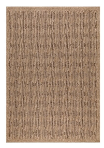 Notranja in zunanja preproga v temni naravni barvi 120x170 cm Dhaka – Ayyildiz Carpets