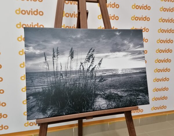 Slika sončni zahod na plaži v črnobeli izvedbi