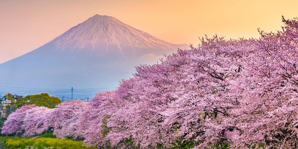 Slika čudovita Japonska