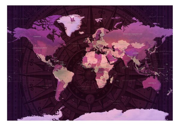 Samolepilna fototapeta - Purple World Map