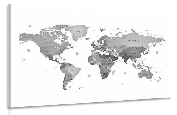 Slika zemljevid sveta v odtenkih črnobele