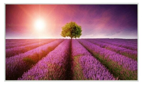 IR grelni panel Lavender (Do x Š x V: 1.000 x 18 x 600 mm, 600 W)