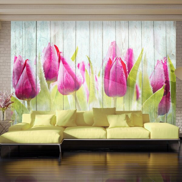 Fototapeta - Tulips on white wood