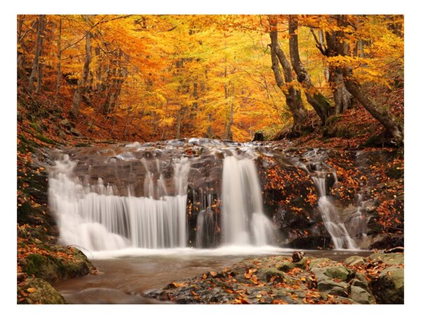 Fototapeta - Autumn landscape : waterfall in forest