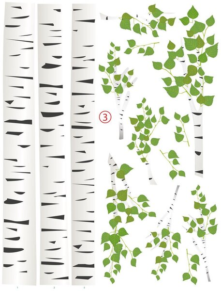 Čudovite stenske nalepke - breza 215 x 270 cm