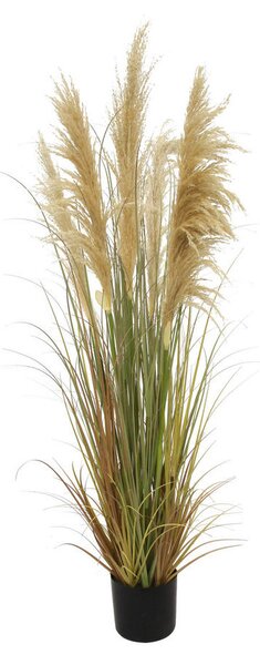 OKRASNA TRAVA 150 cm