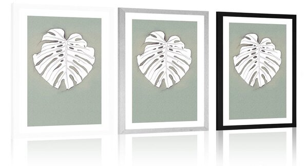 Plakat s paspartujem monstera na zelenem ozadju