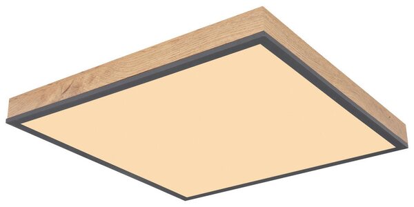 STROPNA LED-SVETILKA 24 W 3000 K 203 V