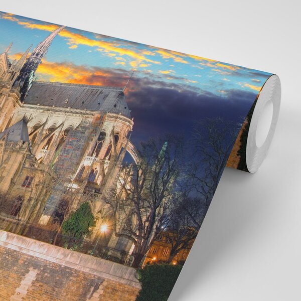 Fototapeta katedrala Notre Dame