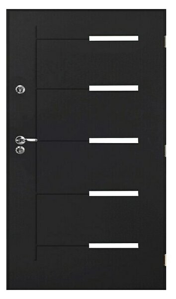 Jeklena zaščitna vrata Kankan (Smer odpiranja: Desno, Antracit, Do x Š x V: 5,5 cm x 800 mm x 2.000 mm)