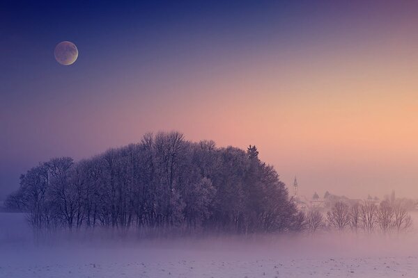 Tapeta polna luna nad vasjo