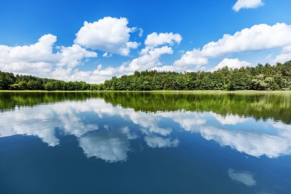 Fototapeta narava v poletnem času