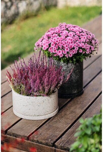 Komplet 2 temno sivih cvetličnih loncev Bonami Selection Terrazzo, ø 26 cm