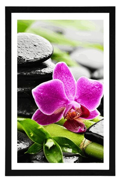 Plakat s paspartujem wellness tihožitje z vijolično orhidejo