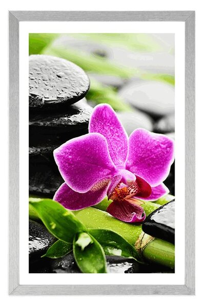 Plakat s paspartujem wellness tihožitje z vijolično orhidejo
