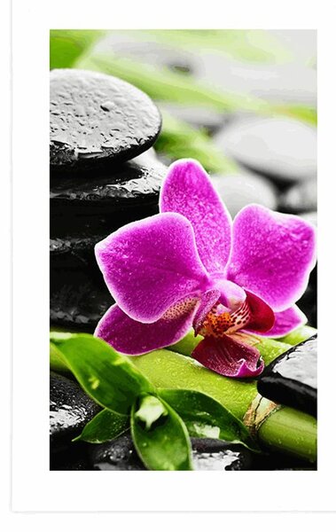 Plakat s paspartujem wellness tihožitje z vijolično orhidejo