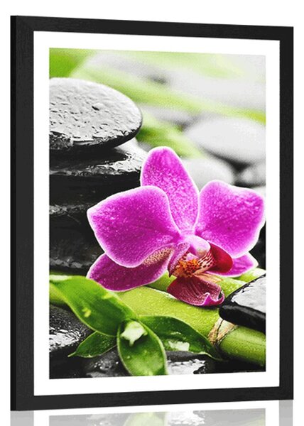 Plakat s paspartujem wellness tihožitje z vijolično orhidejo
