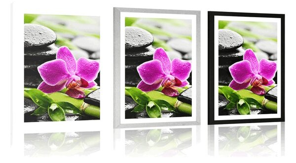 Plakat s paspartujem wellness tihožitje z vijolično orhidejo